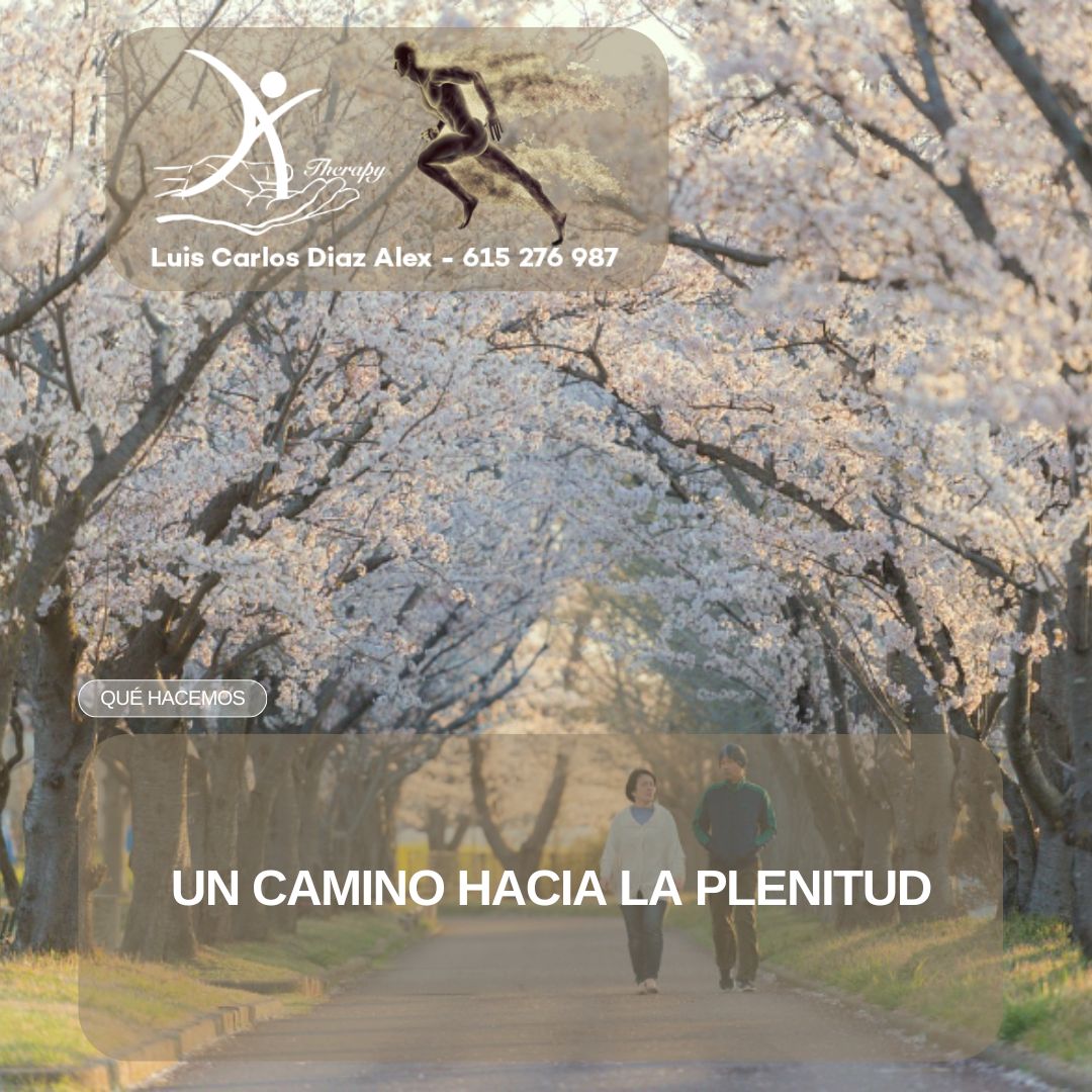 Más allá del dolor_ Un viaje hacia el bienestar integral con la fisioterapia holística