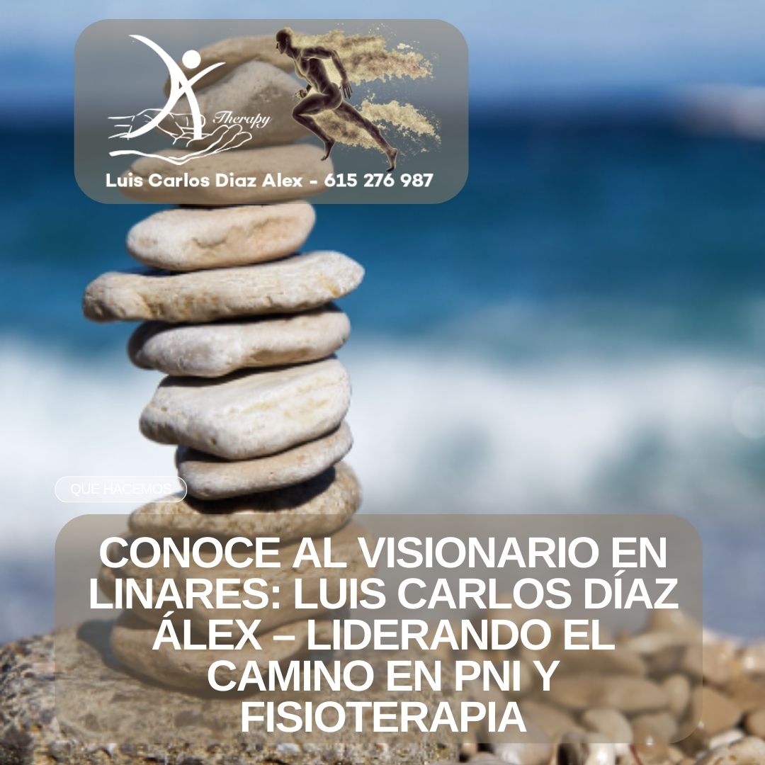 PSICONEUROINMUNOLOGÍA Y FISIOTERAPIA_ UN ENFOQUE INTEGRAL PARA LA ARMONÍA CUERPO-MENTE EN LA CLÍNICA LUIS CARLOS DÍAZ ÁLEX
